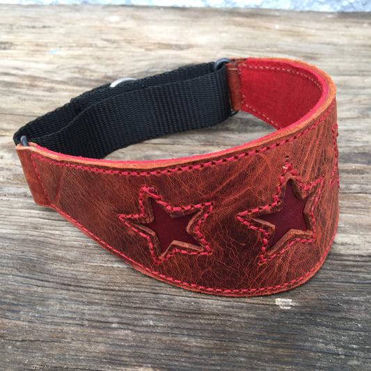 Martingale dog collar